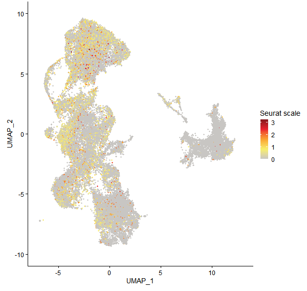 Feature plot of Mp4g12760 on UMAP