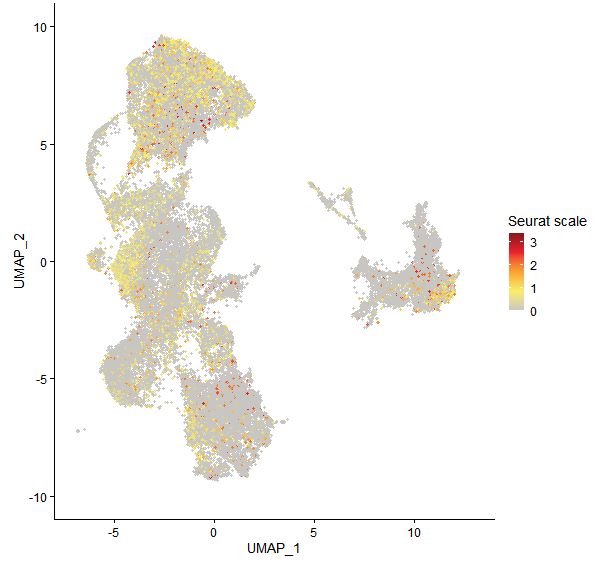 Feature plot of Mp4g13750 on UMAP