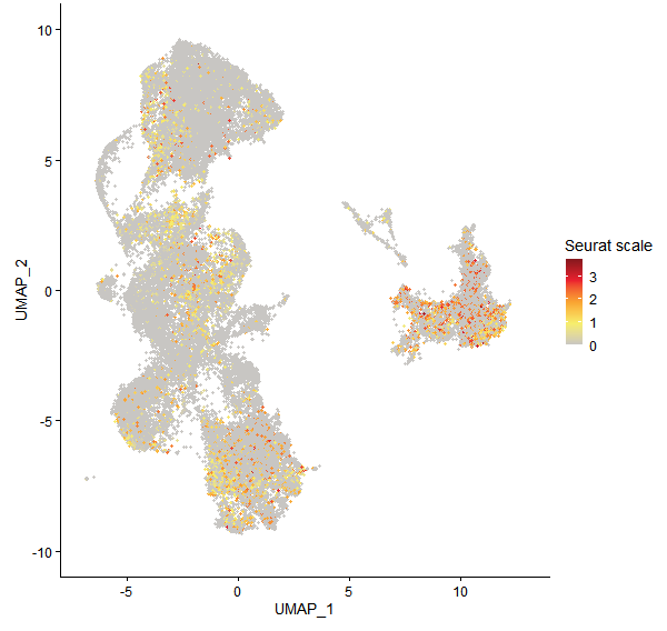 Feature plot of Mp4g14100 on UMAP
