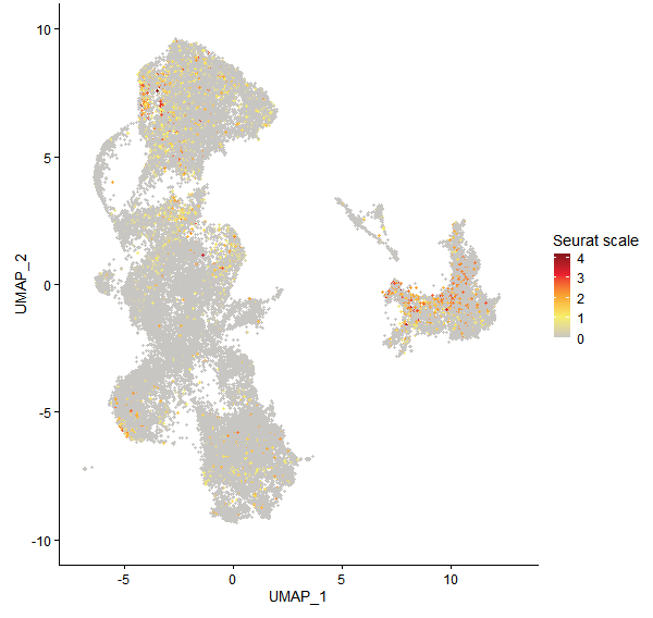Feature plot of Mp4g14180 on UMAP