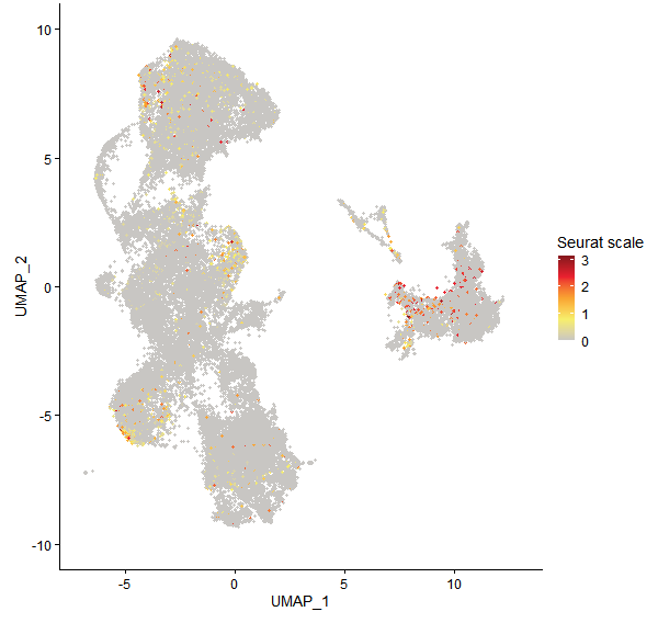 Feature plot of Mp4g14210 on UMAP