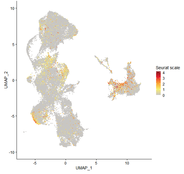 Feature plot of Mp4g14220 on UMAP