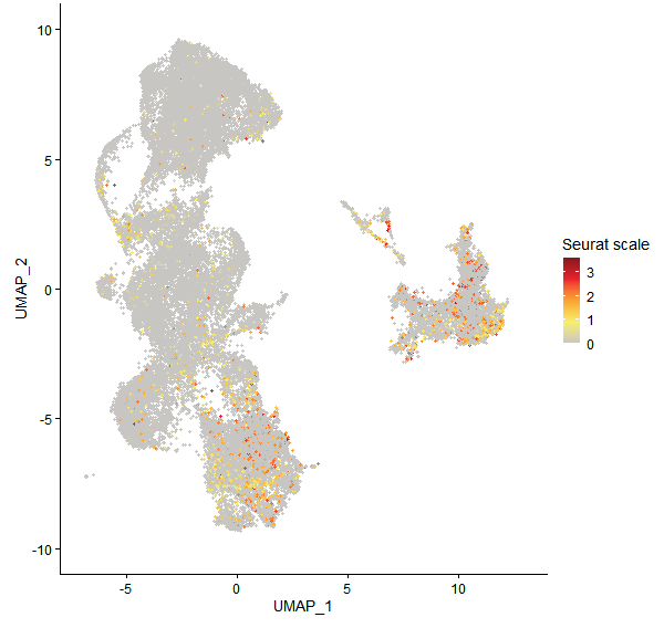 Feature plot of Mp4g14840 on UMAP