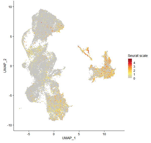 Feature plot of Mp4g14870 on UMAP