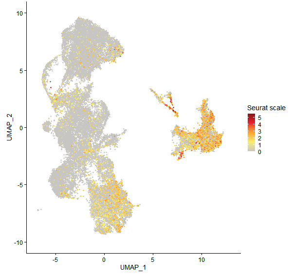 Feature plot of Mp4g14880 on UMAP