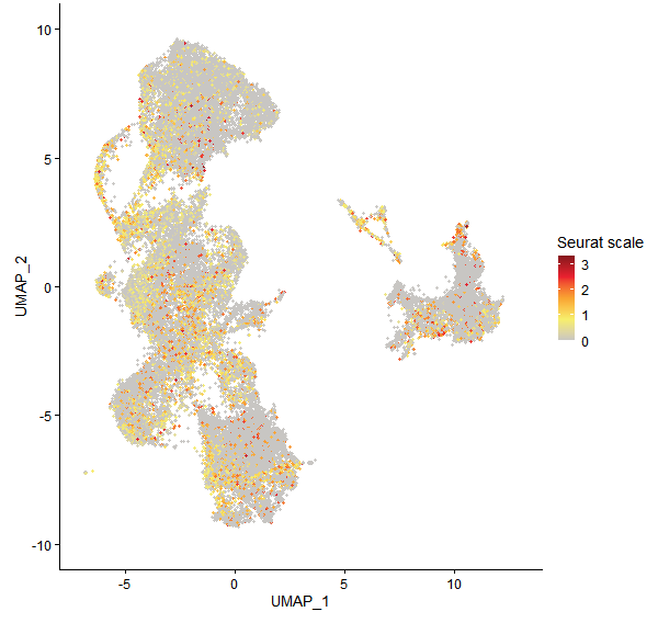 Feature plot of Mp4g15890 on UMAP