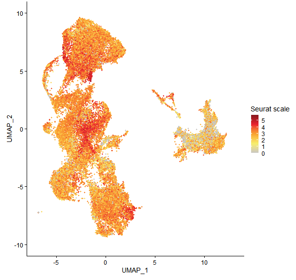 Feature plot of Mp4g17210 on UMAP