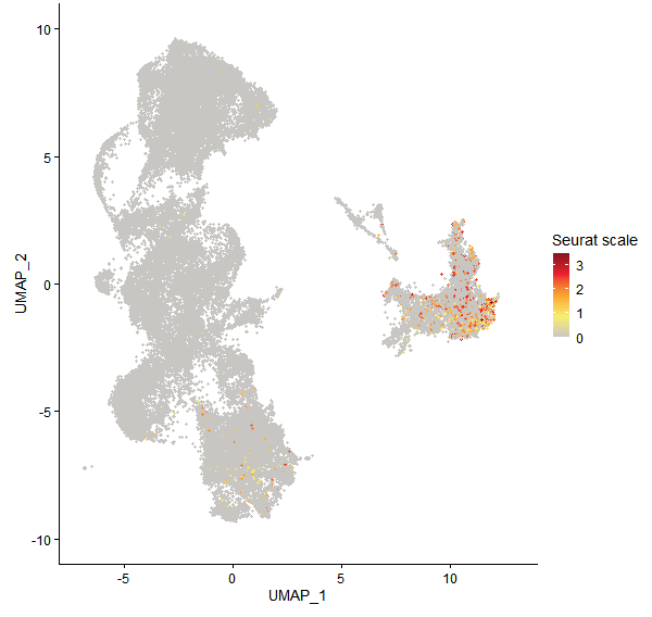Feature plot of Mp4g18590 on UMAP