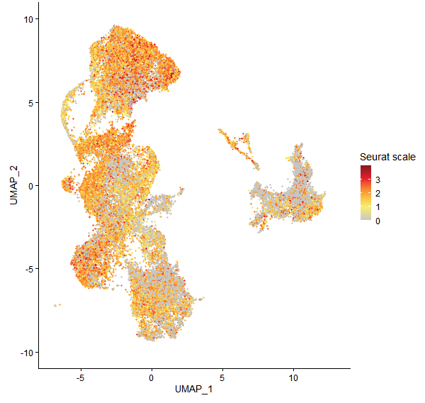 Feature plot of Mp4g19200 on UMAP
