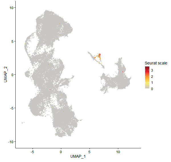 Feature plot of Mp4g20670 on UMAP