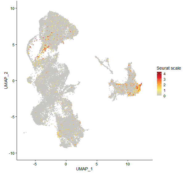 Feature plot of Mp4g21300 on UMAP