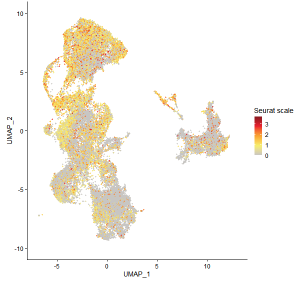 Feature plot of Mp4g22430 on UMAP