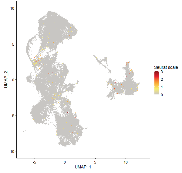 Feature plot of Mp4g23680 on UMAP