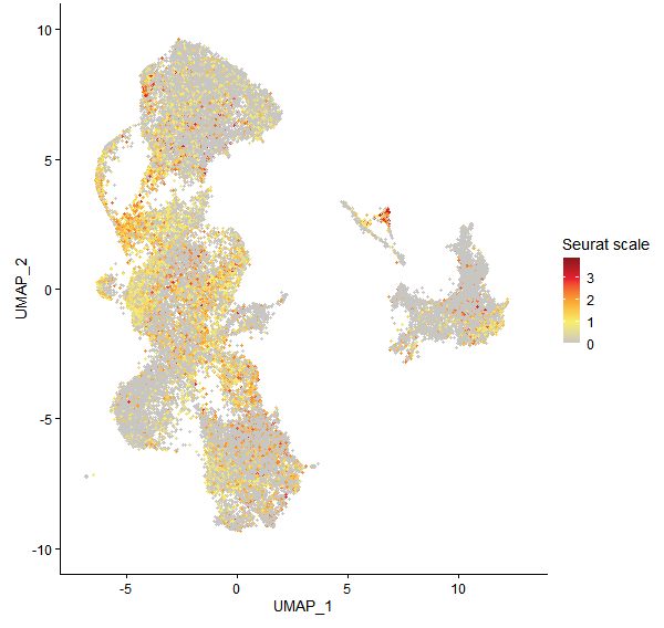 Feature plot of Mp5g01410 on UMAP