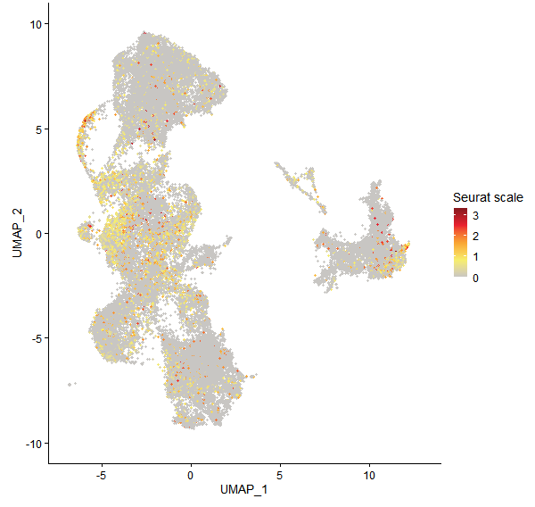 Feature plot of Mp5g03560 on UMAP