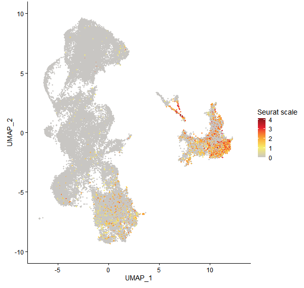 Feature plot of Mp5g05120 on UMAP