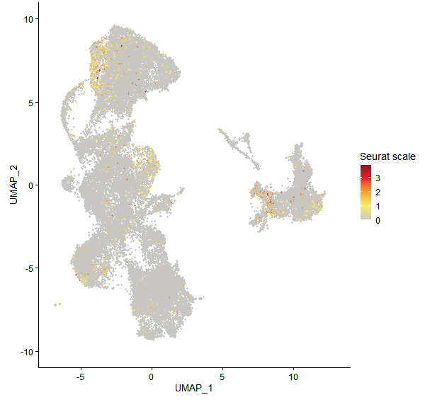 Feature plot of Mp5g05150 on UMAP