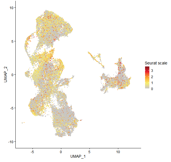 Feature plot of Mp5g05930 on UMAP