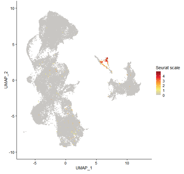 Feature plot of Mp5g06850 on UMAP