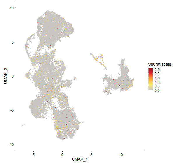 Feature plot of Mp5g08310 on UMAP