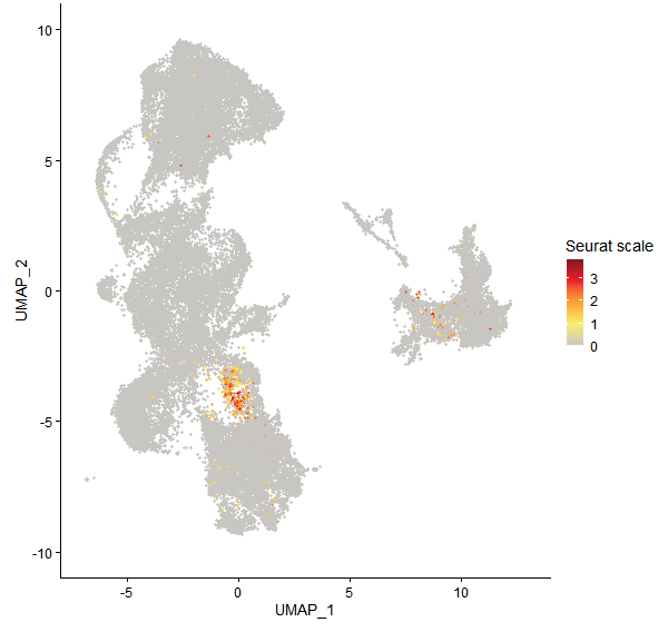 Feature plot of Mp5g10030 on UMAP