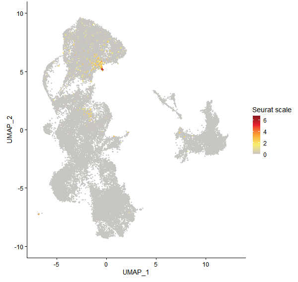 Feature plot of Mp5g11400 on UMAP