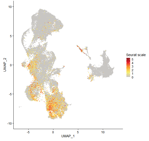 Feature plot of Mp5g13870 on UMAP