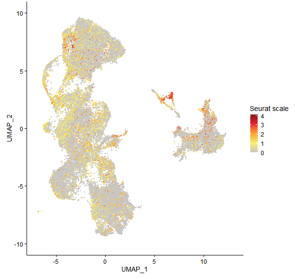 Feature plot of Mp5g15980 on UMAP