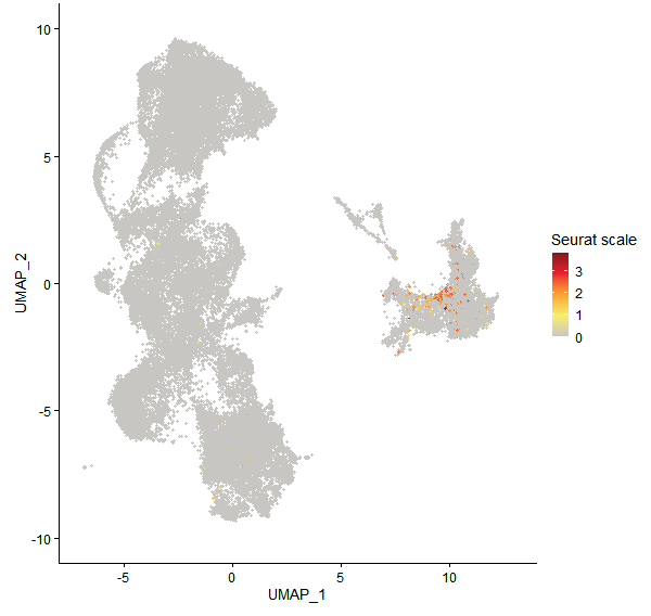 Feature plot of Mp5g16440 on UMAP