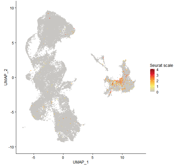 Feature plot of Mp5g16510 on UMAP