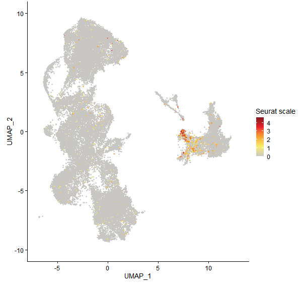 Feature plot of Mp5g16920 on UMAP