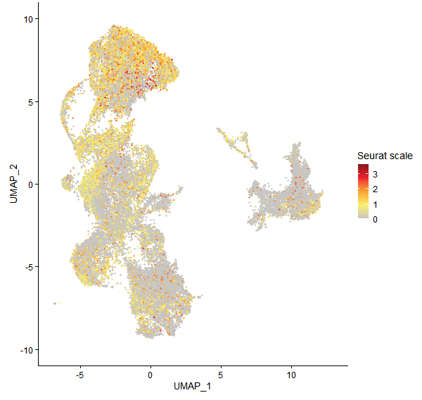 Feature plot of Mp5g20580 on UMAP