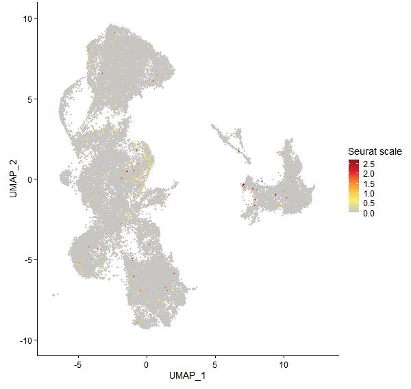 Feature plot of Mp5g22750 on UMAP