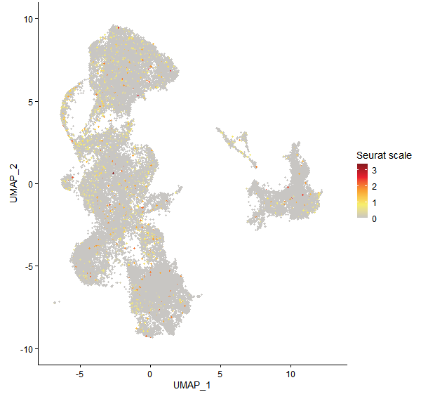 Feature plot of Mp5g24460 on UMAP