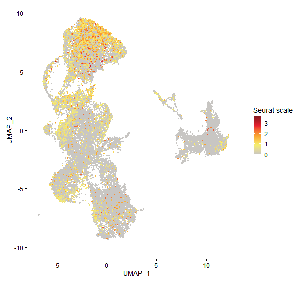 Feature plot of Mp6g01750 on UMAP