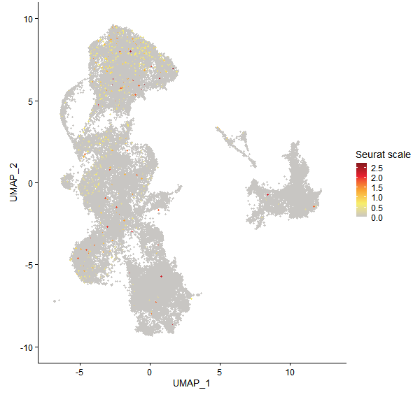 Feature plot of Mp6g04480 on UMAP