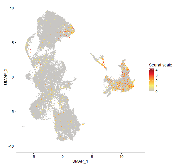 Feature plot of Mp6g05120 on UMAP