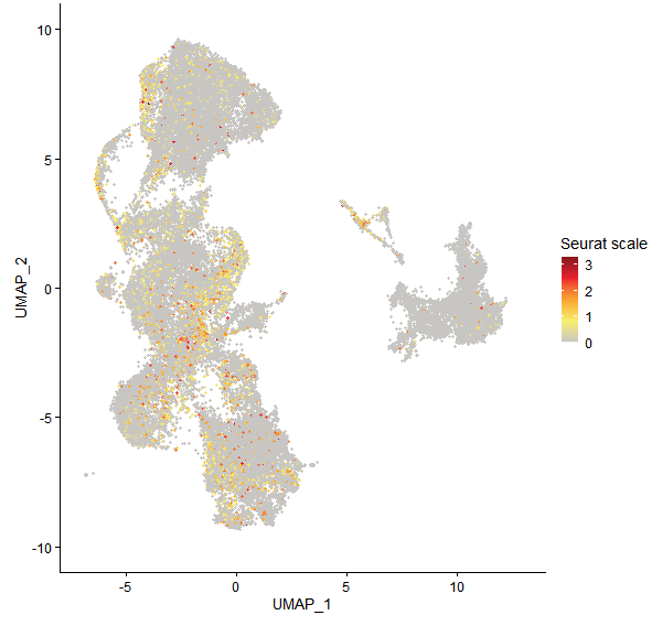 Feature plot of Mp6g07600 on UMAP