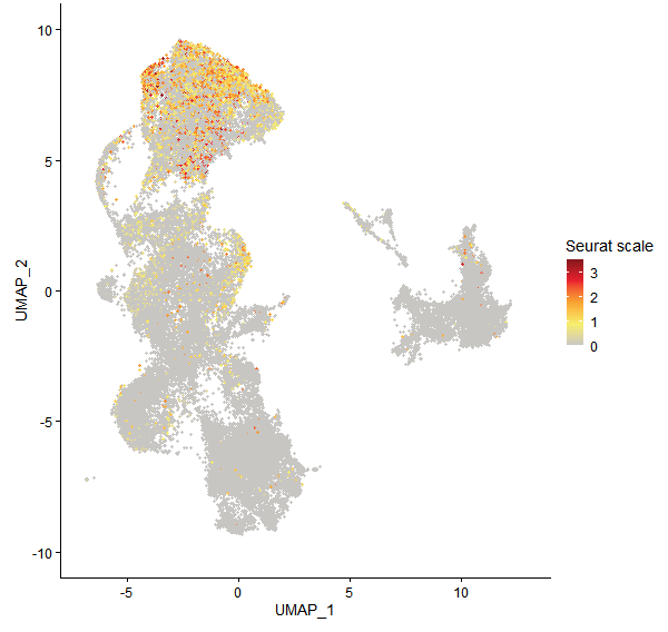 Feature plot of Mp6g08420 on UMAP