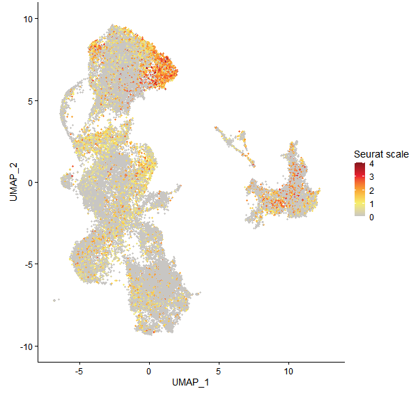 Feature plot of Mp6g08530 on UMAP