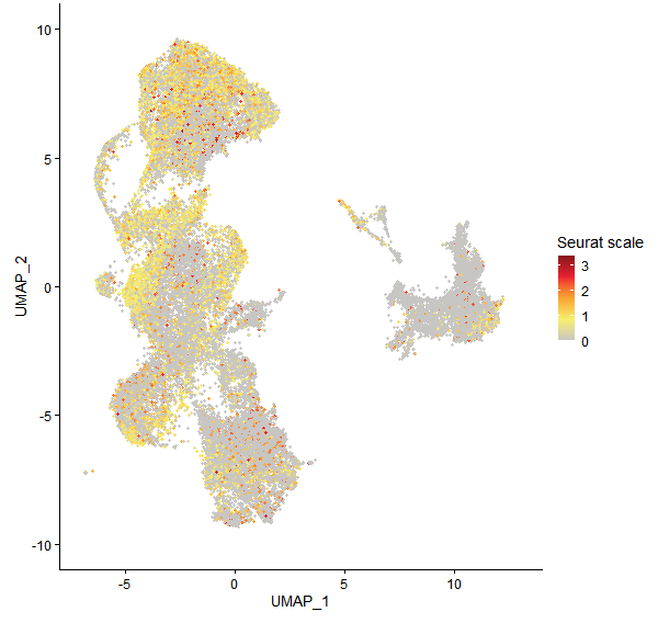 Feature plot of Mp6g09140 on UMAP