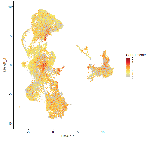 Feature plot of Mp6g11010 on UMAP