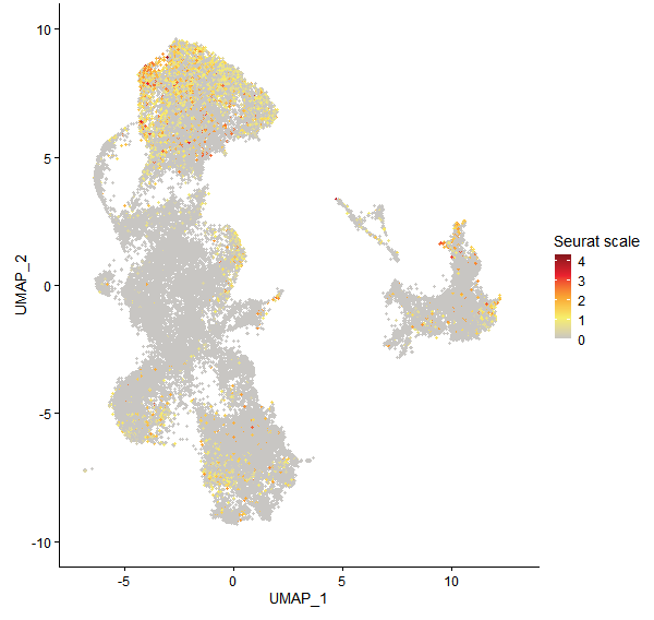 Feature plot of Mp6g12800 on UMAP