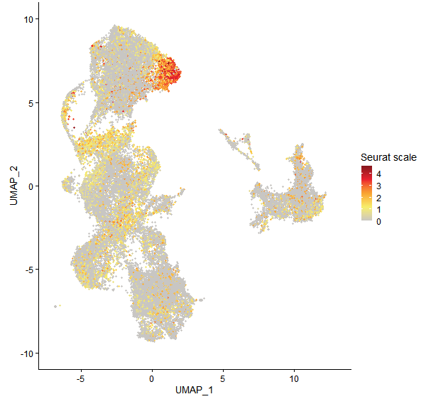 Feature plot of Mp6g15610 on UMAP
