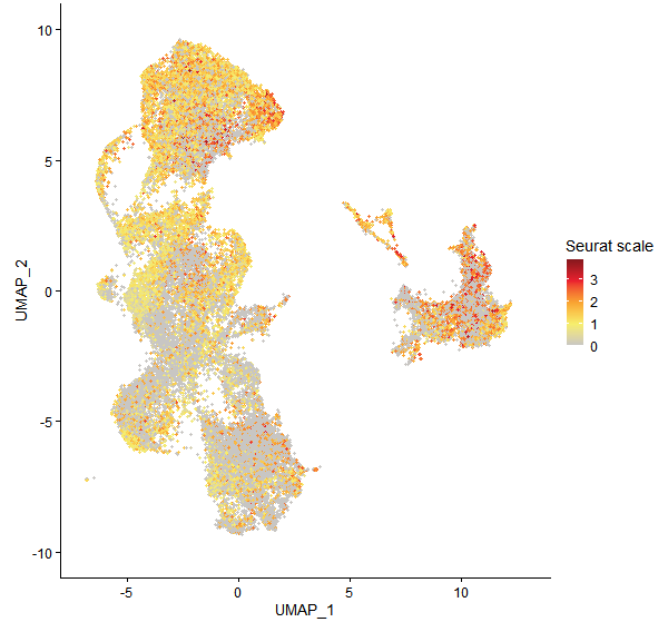 Feature plot of Mp6g16450 on UMAP