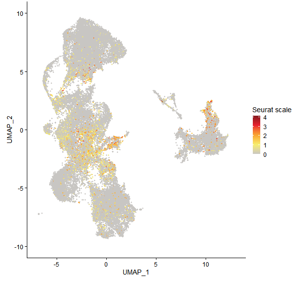 Feature plot of Mp6g17330 on UMAP