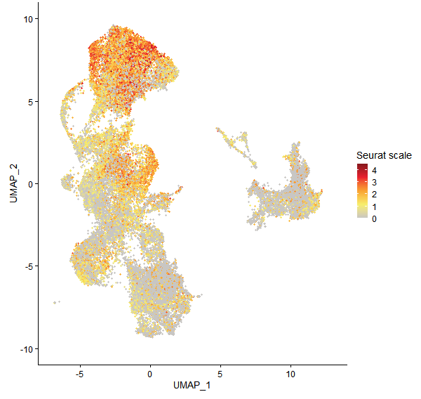 Feature plot of Mp6g20830 on UMAP