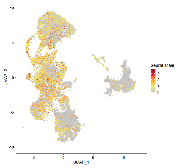 Feature plot of Mp7g02640 on UMAP