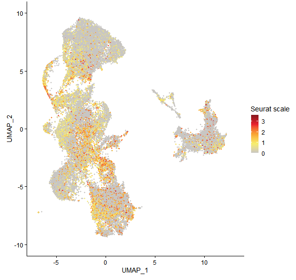 Feature plot of Mp7g06100 on UMAP