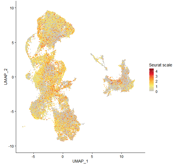 Feature plot of Mp7g06220 on UMAP